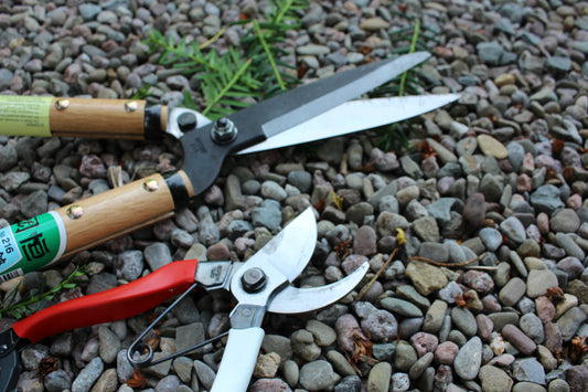 Top tools for September Pruning